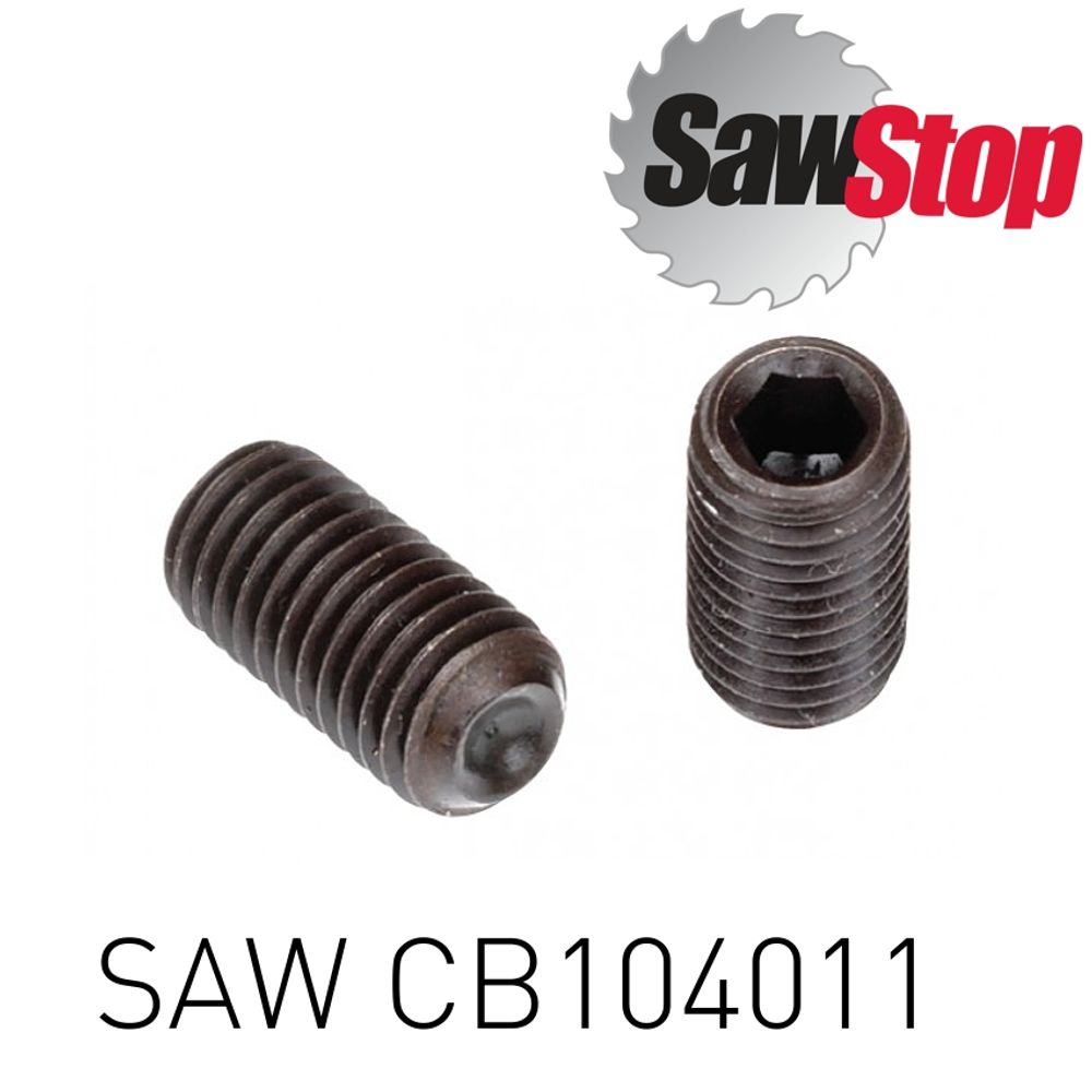 SAWSTOP Set Screw M6 X 1.0 X 14mm